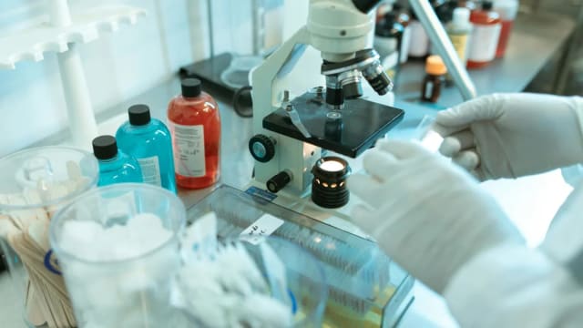 Regencell Bioscience (RGC) Appoints New Independent Auditor