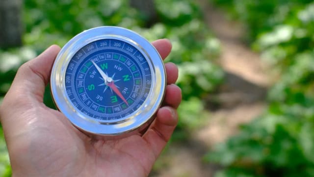 Compass Inc. (COMP) SWOT Analysis Shows Growth Potential Post-Acquisition