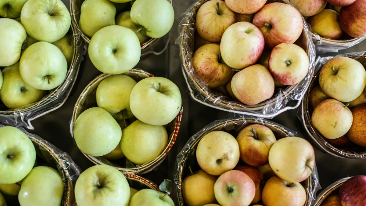 Anthropic's Claude sees 'elevated errors' as it tops Apple's free apps after Pentagon clash