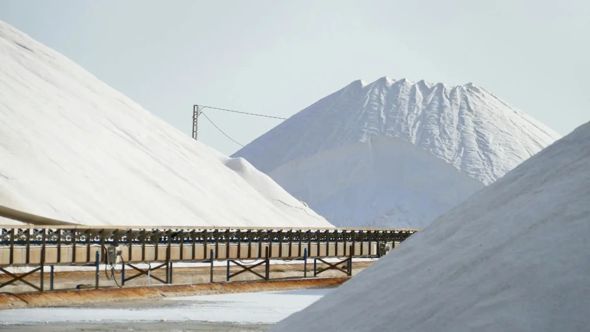 Montero Mining Concludes Potrero Gold Study in Chile's Maricunga Belt