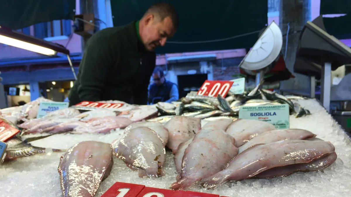 European Markets to Open Lower Amid Rising Oil Prices and Iran Tensions