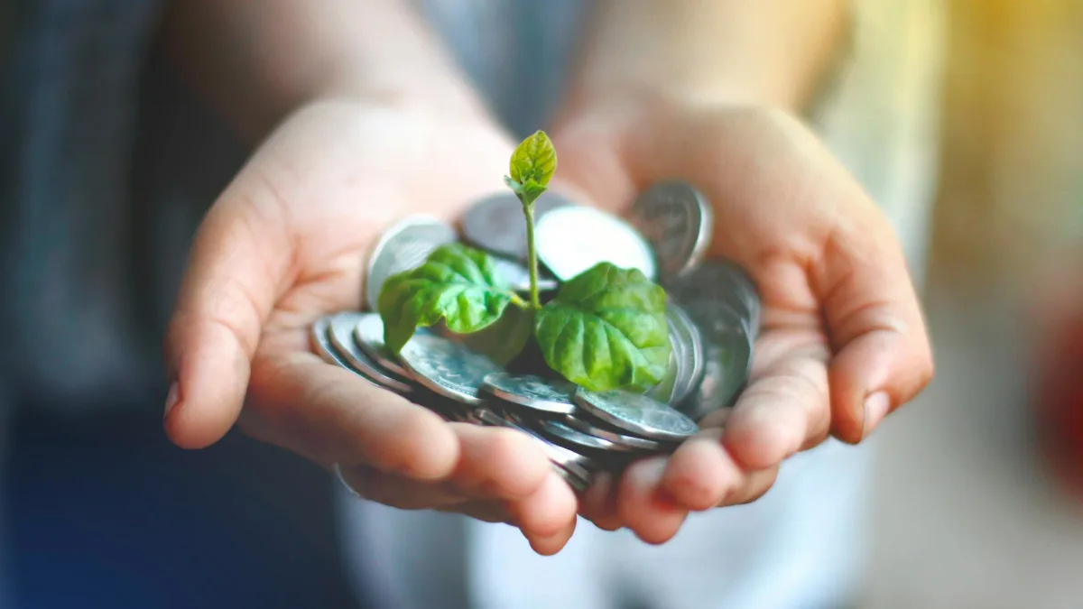 Papa John’s Considers $1.5B Buyout Offer from Qatari Fund