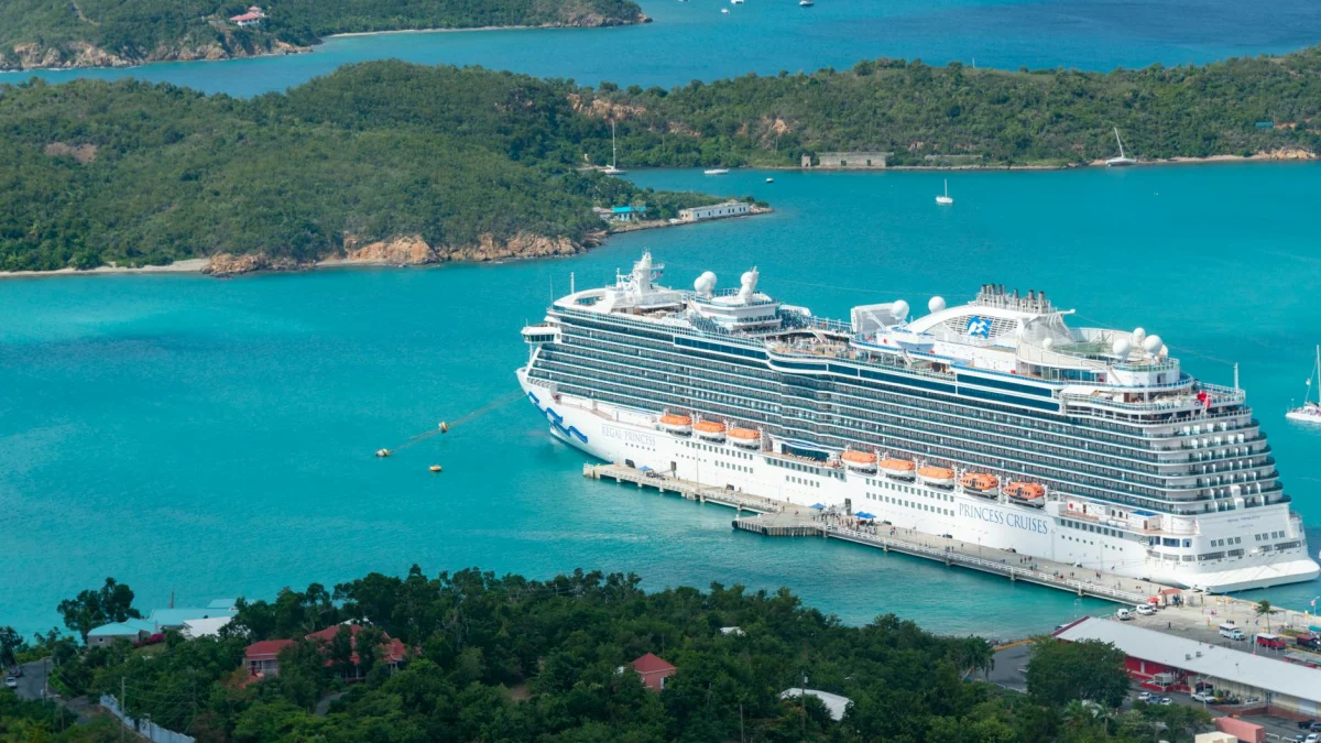 Norovirus Outbreak Affects 153 on Princess Cruise Ship in Caribbean