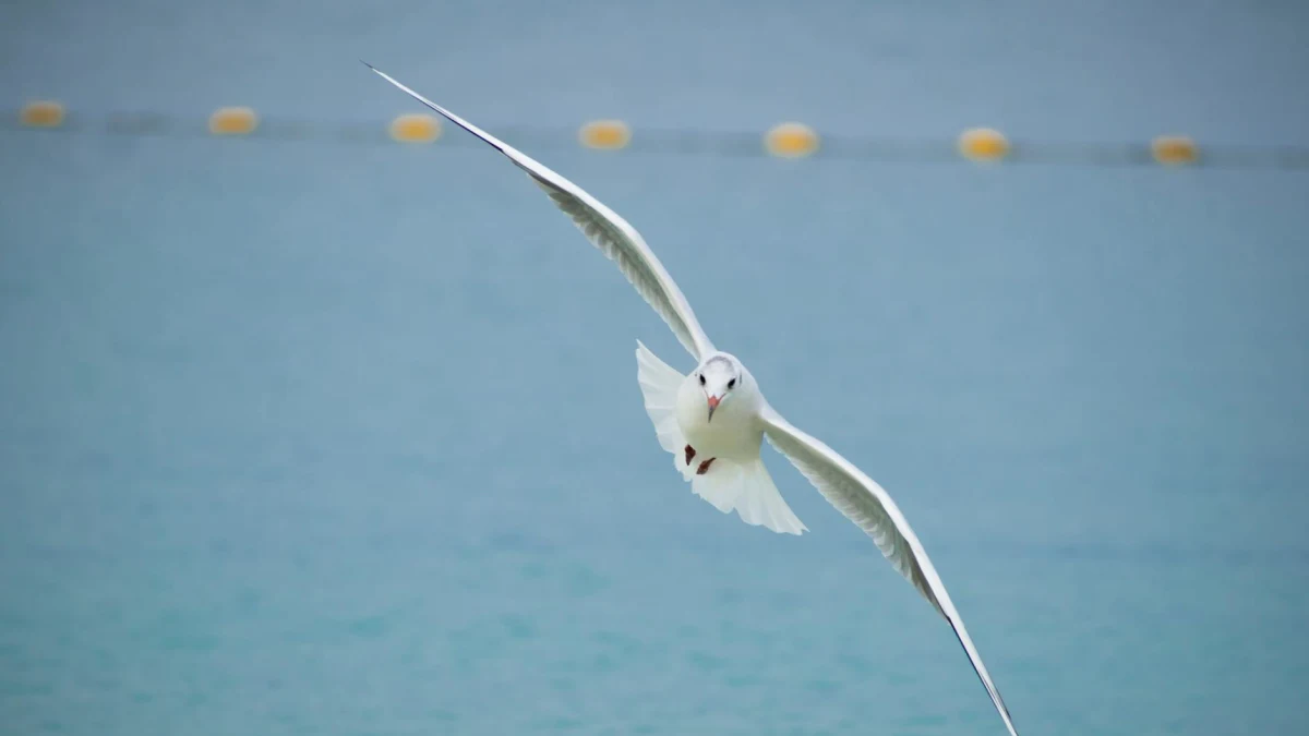 Easter Travelers Shift from Dubai to Spain Amid Middle East Flight Disruptions