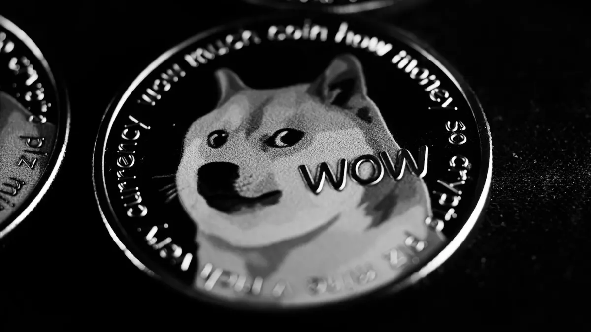 Digital Art Believer: The $69 Million NFT Investment After Five Years