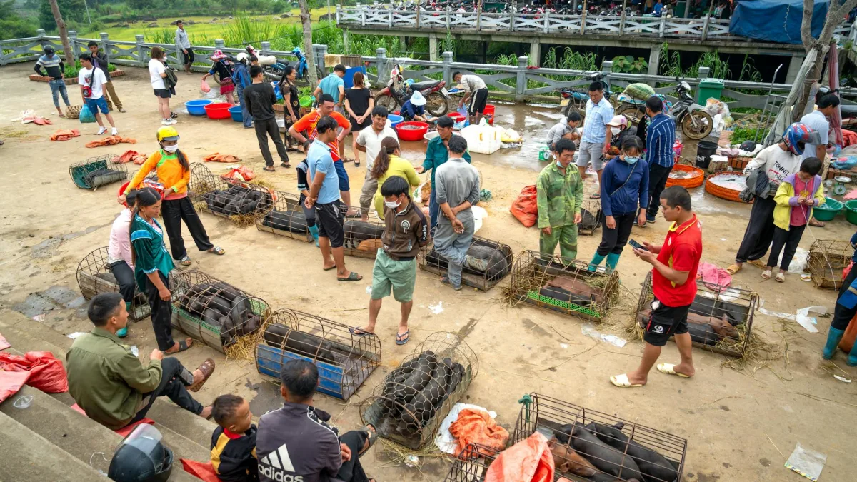 Premarket Movers: Nvidia, Micron, and Macy's Show Significant Trading Activity