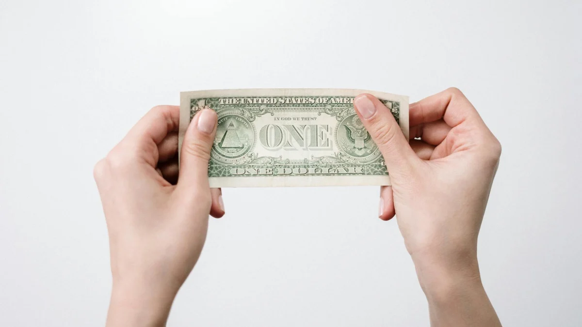 US Subscription Costs Reduces to $49 Amid Rising Digital Access