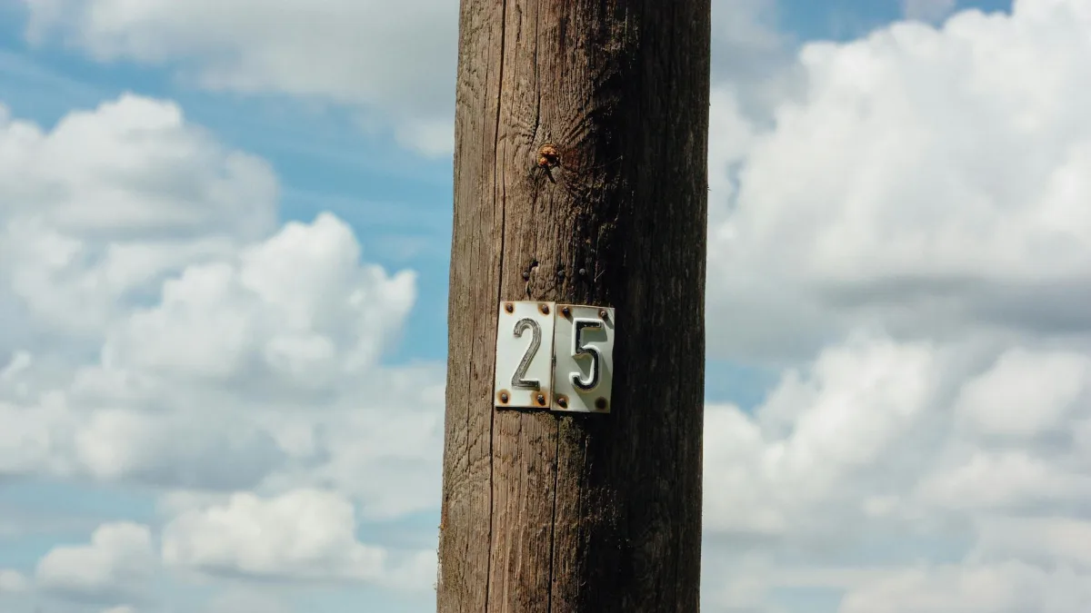 Reflection AI Seeks $25 Billion Valuation Supported by Nvidia