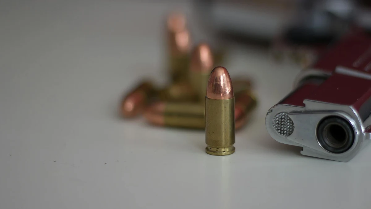 Czechoslovak Group Reports Higher Revenue Despite Ammunition Segment Decline