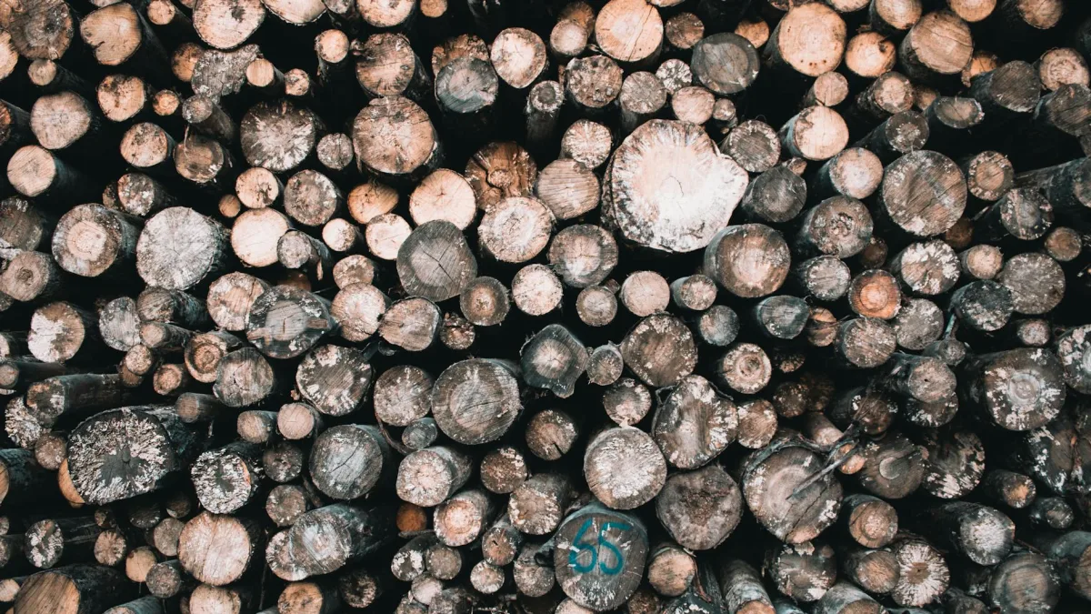 Highwoods Properties Stock Reaches 52-Week Low at 20.49 USD