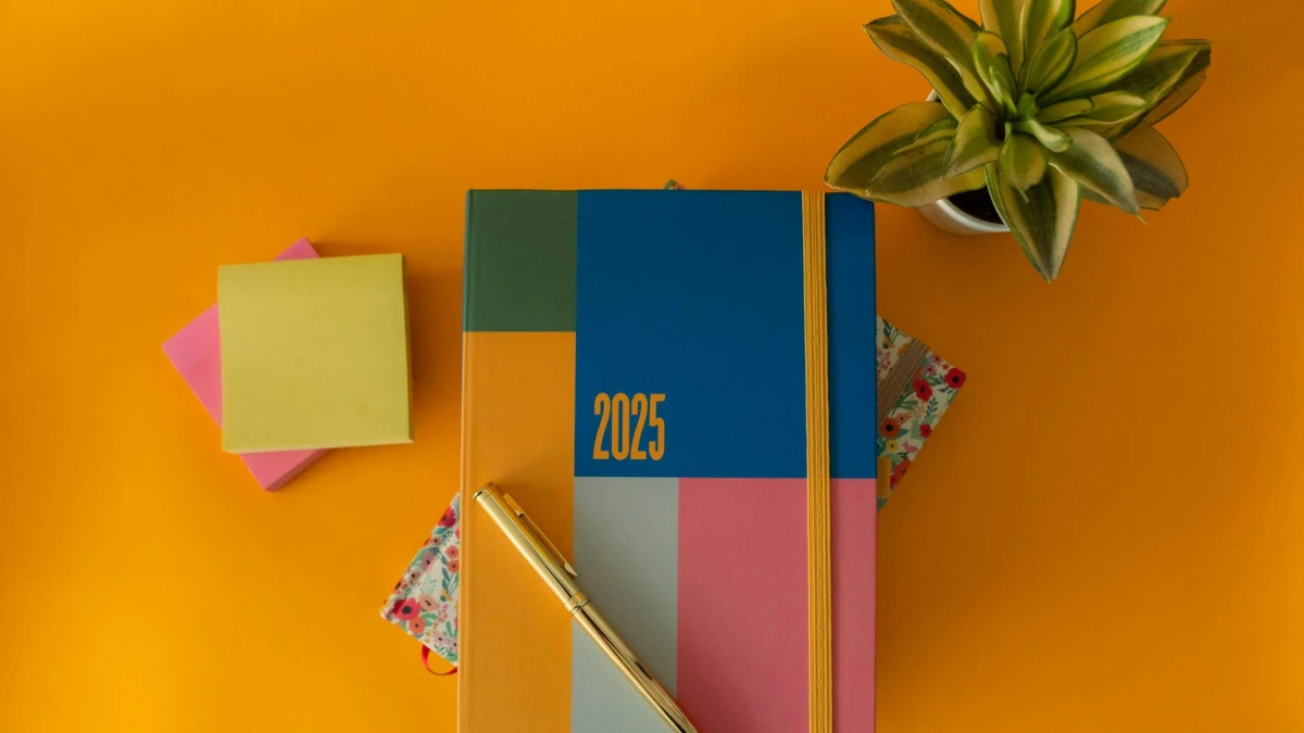 Brava Reports Record Production but Earnings Disappointment in Q4 2025