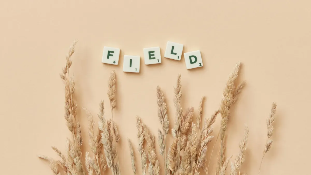 Brookfield Corporation Aims for 20% Annual Earnings Growth Over 5 Years