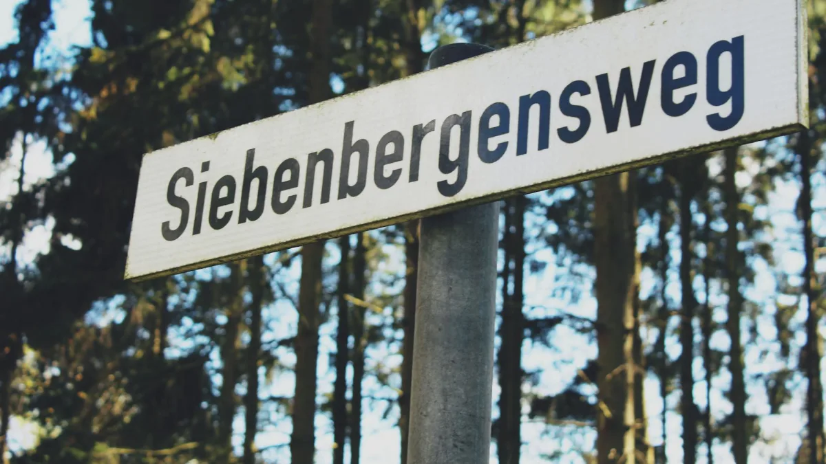 Streaming Services See Subscriber Growth from Cable Abandonment