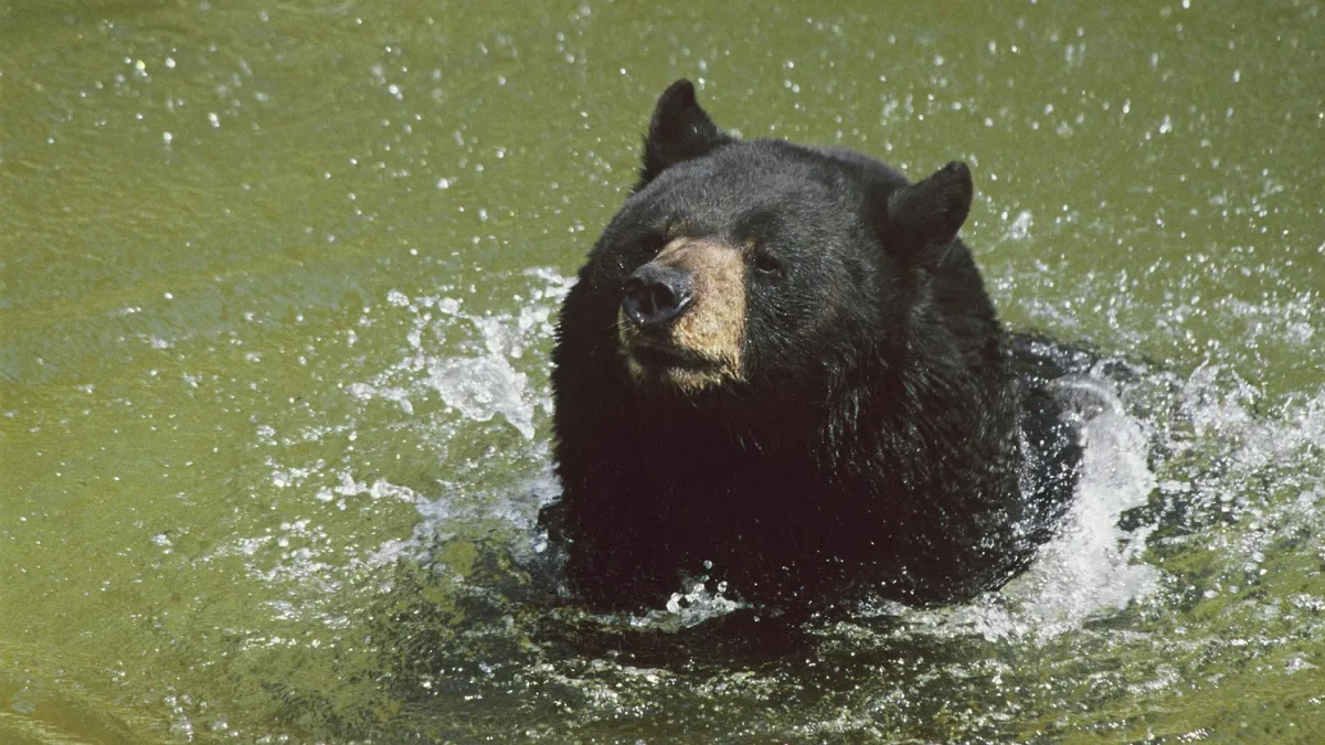 Eli Lilly (LLY) acquires Centessa for up to $7.8 billion