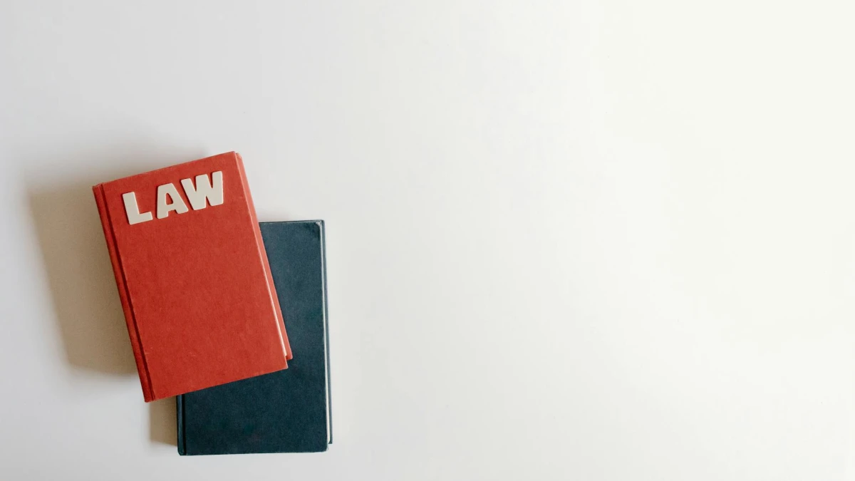 China Backs Law-Abiding Transnational Deals Amid Meta Review