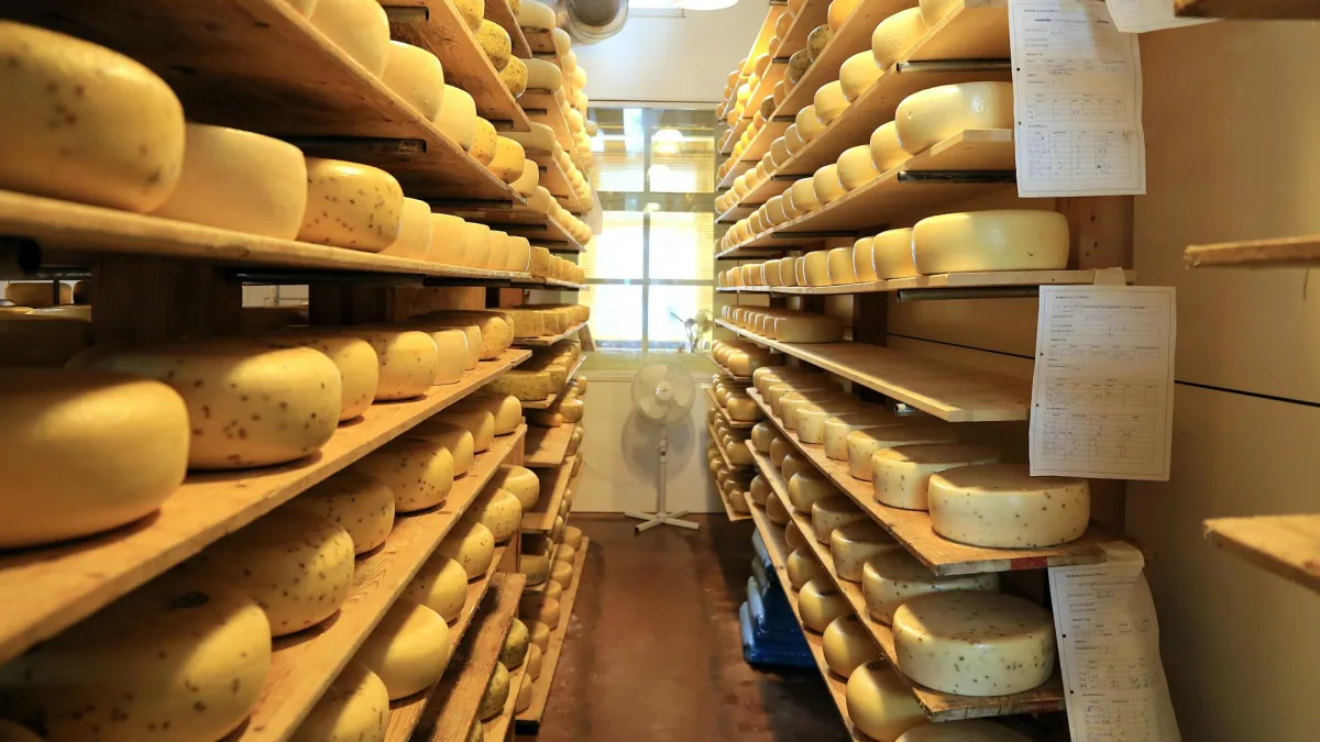 California Dairy Recall: 9 E. Coli Cases Linked to Cheese Products