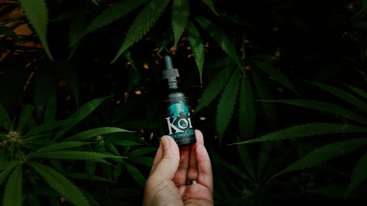 Oil Futures Drop Following Trump Iran Ceasefire Agreement