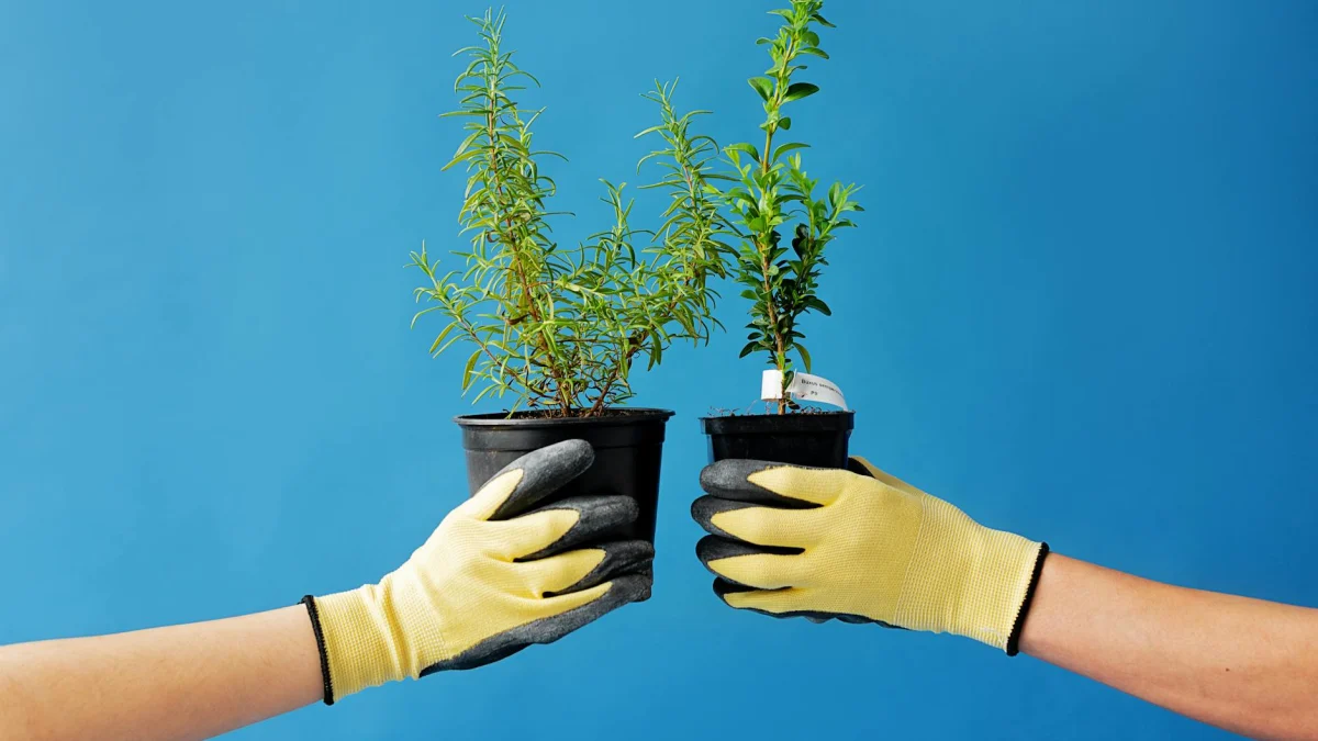 Vireo Growth (VREO) Completes Hawthorne Gardening Acquisition