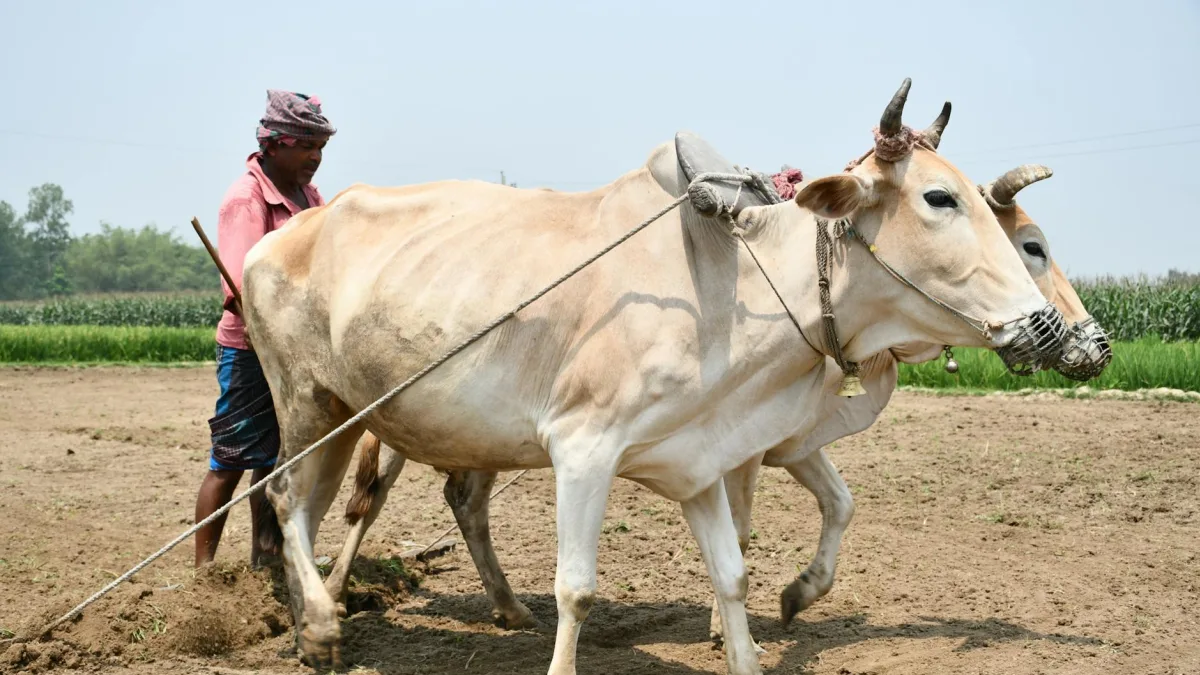 Limited data available — Strong Farms Foreign Labor Opinion