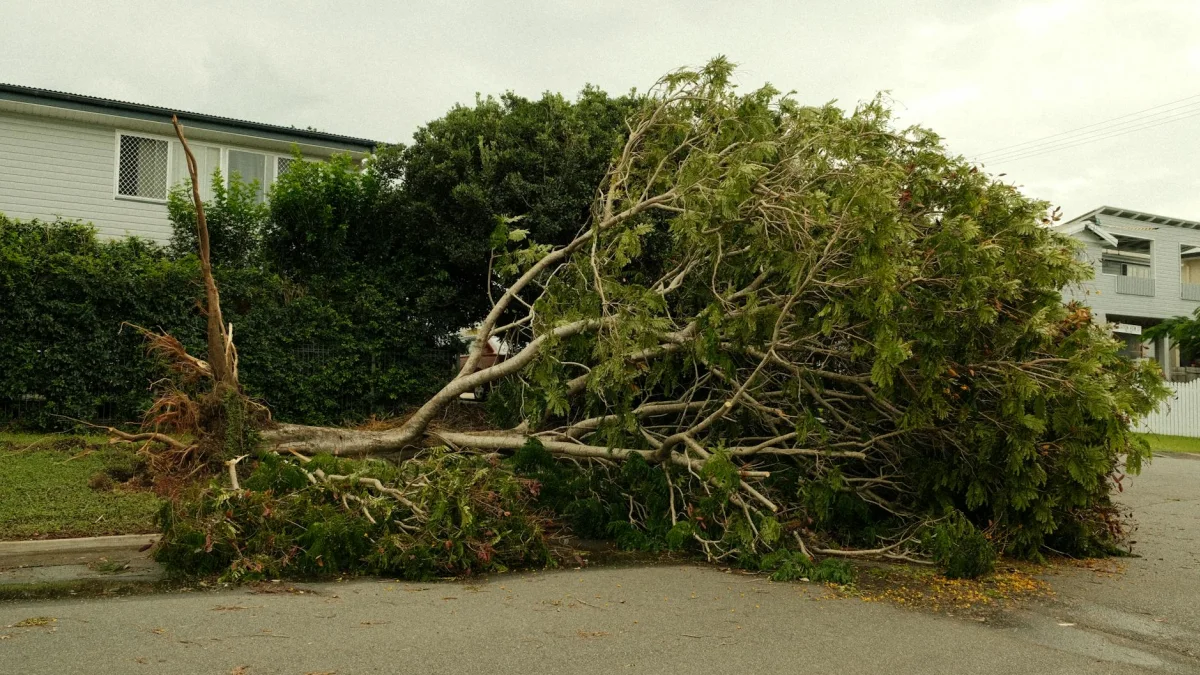 Cyclone Vaianu impacts New Zealand, cleanup efforts ongoing