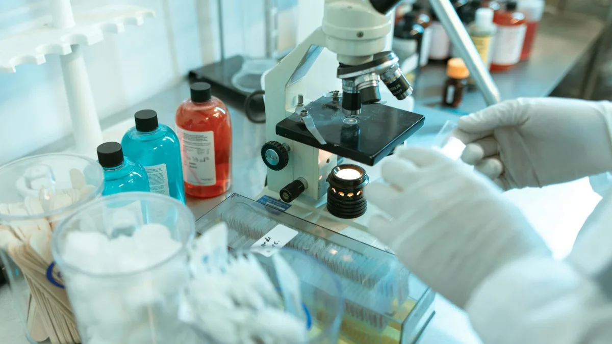 Regencell Bioscience (RGC) Appoints New Independent Auditor