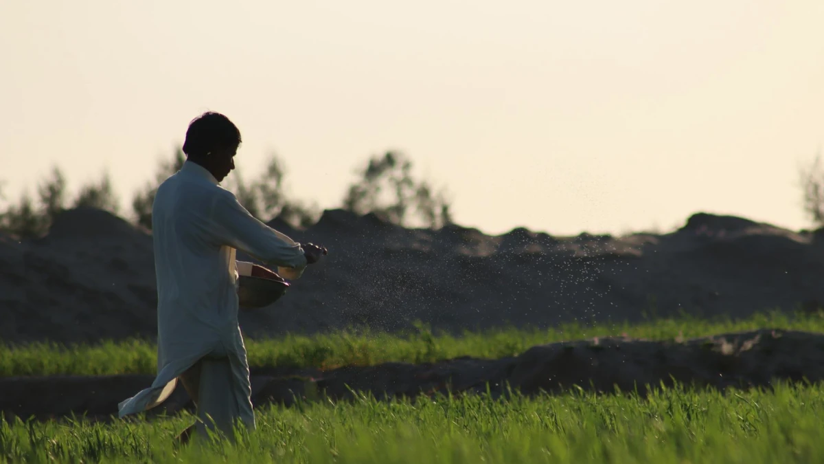 Fertilizer Prices Surge as US Buyers Redirect Imports Amid Iran Conflict