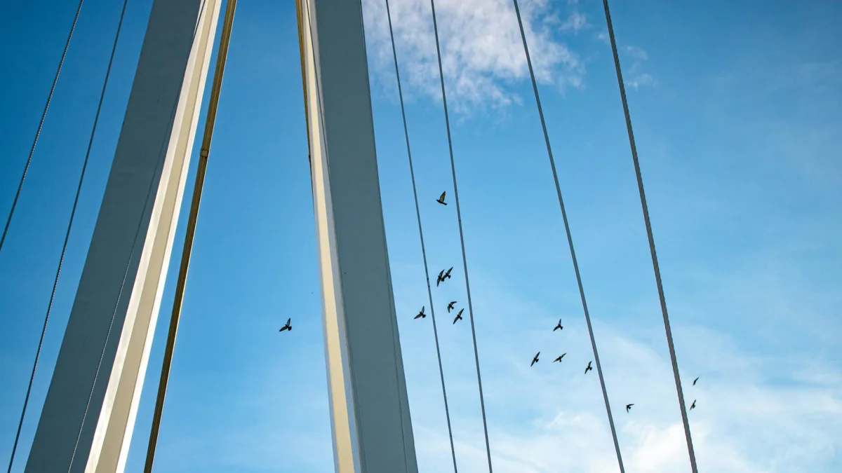 Blue Bird (BLBD) Appoints Lyndon Lie as SVP, Strengthens Engineering