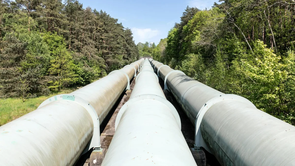 Elsight (ELS) Q1 2026 Revenue Surge and $156M Pipeline Unveiled