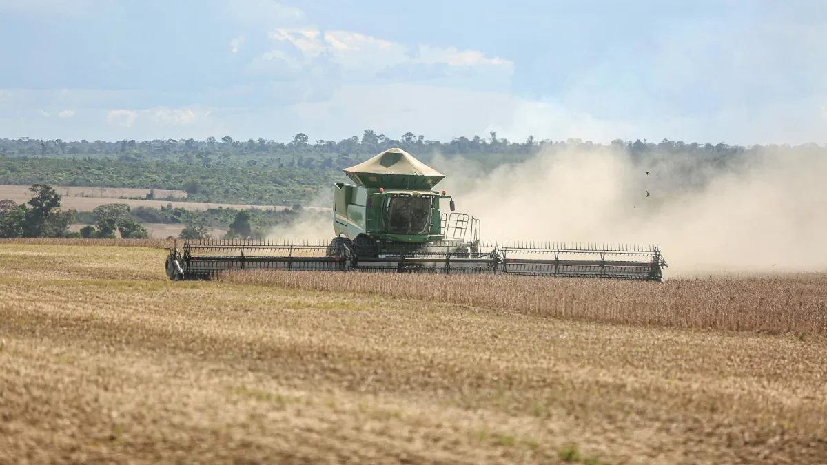 Soybean (SBO) Futures Rise on Higher Crude Prices