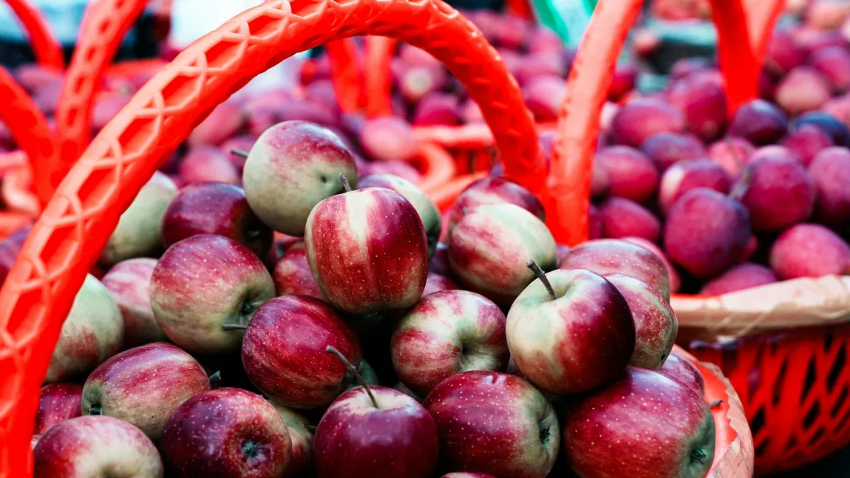 Dow Rises Slightly as Apple (AAPL) Provides Support