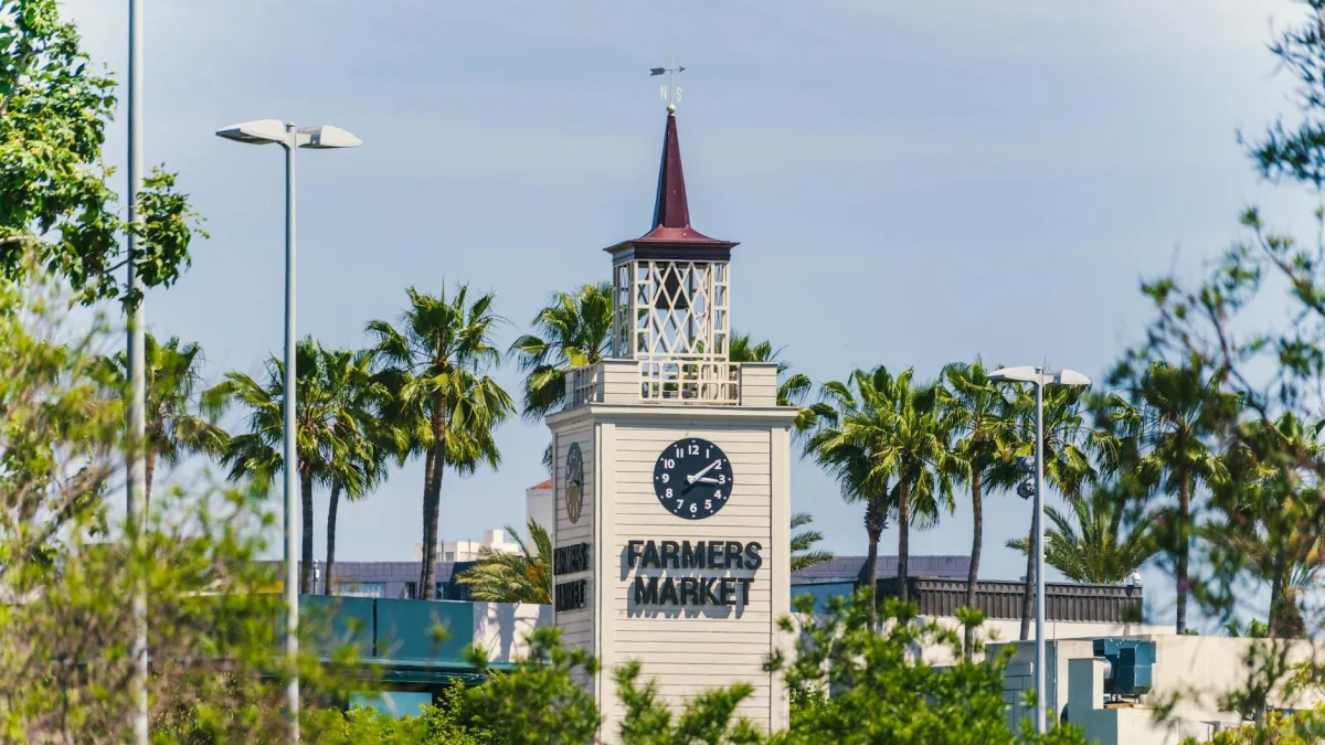Sprouts Farmers Market (SFM) Q1 2026 Earnings Beat Estimates