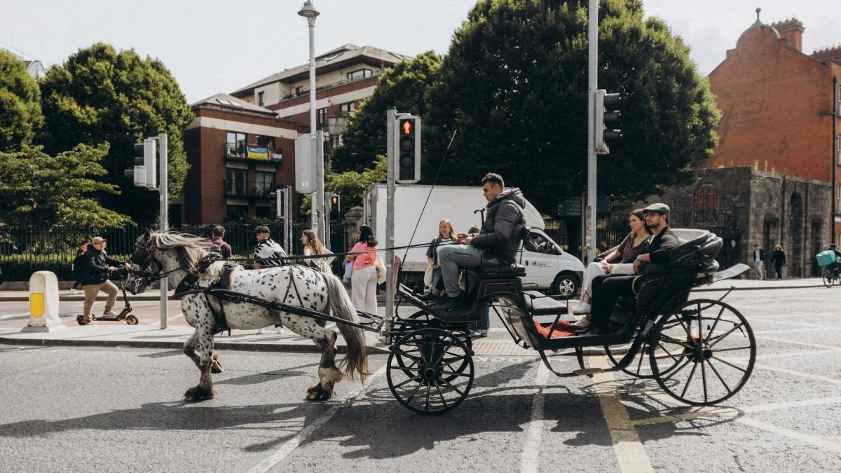Carriage Services (CSV) Q1 2026 Revenue Holds Steady at $106.1M