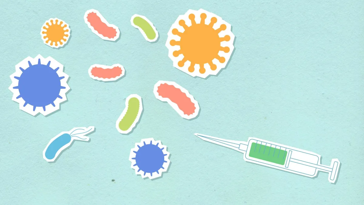 CDC Response to Hantavirus Affects Public Health Strategy