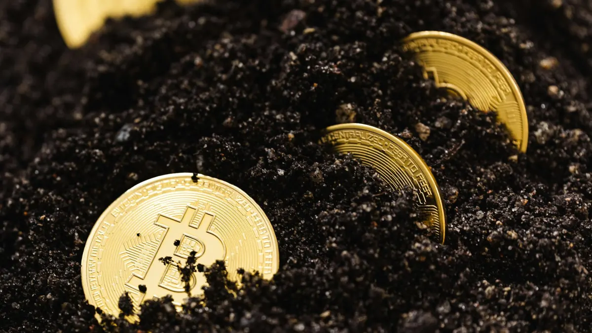 Bitwise CEO Highlights Crypto Opportunities Amid AI Layoffs