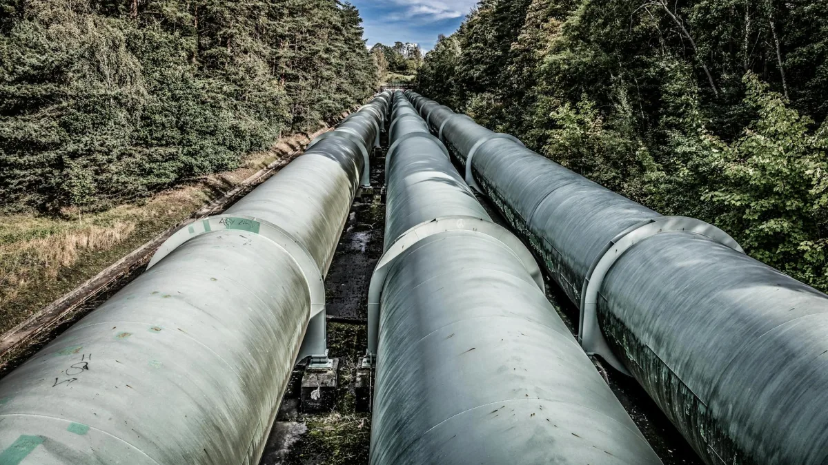 Putin and Xi Discuss Power of Siberia 2 Pipeline Project