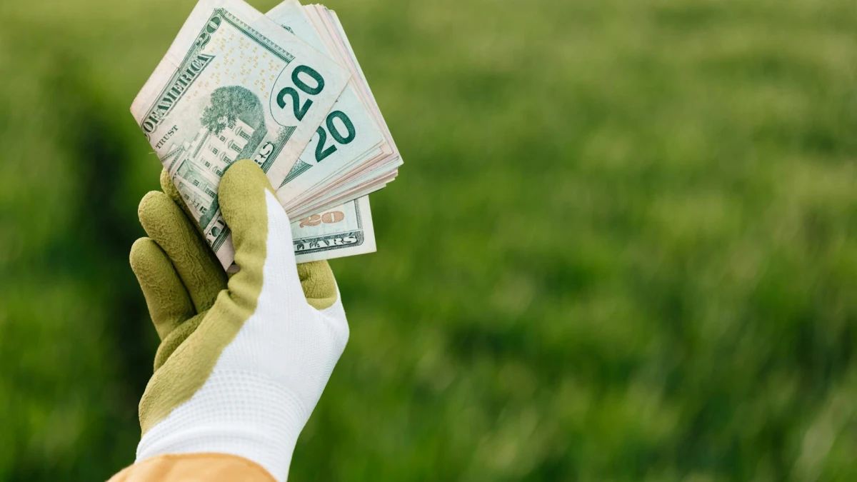 USA Rare Earth (USRM) Q1 2026 Earnings Beat Yet Stock Dips