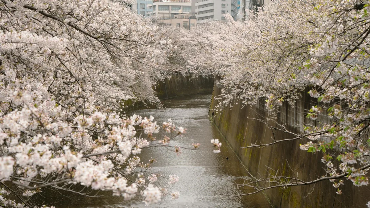 Japan CPI (Core) falls below BOJ target in April 2023