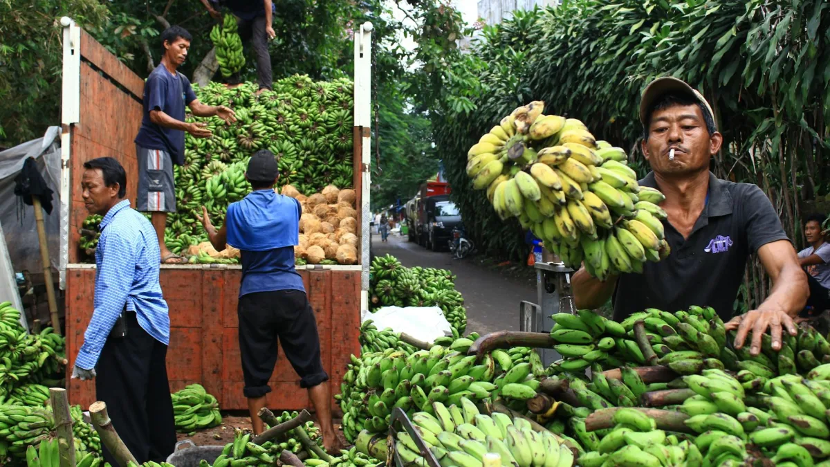 Indonesia to Adjust Commodity Policies in Response to Market Needs