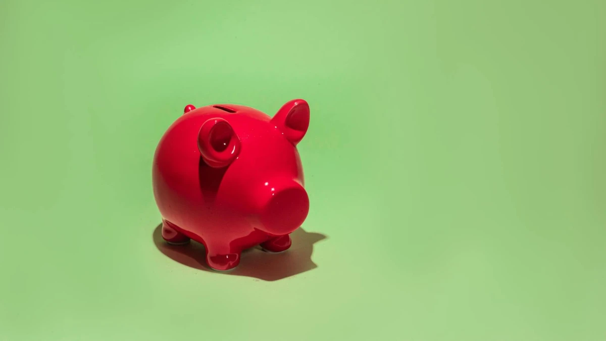 Retirement Savings: Millions Missed by Frugal Investor