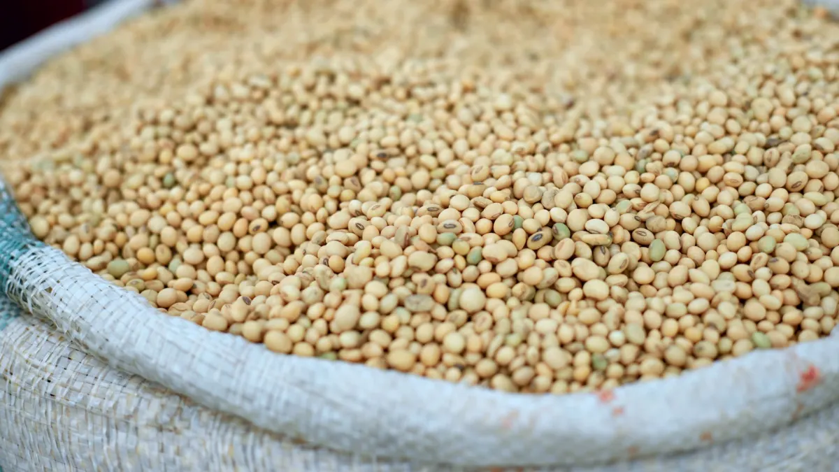 Soybean Futures Rise on Short Covering Ahead of Memorial Day