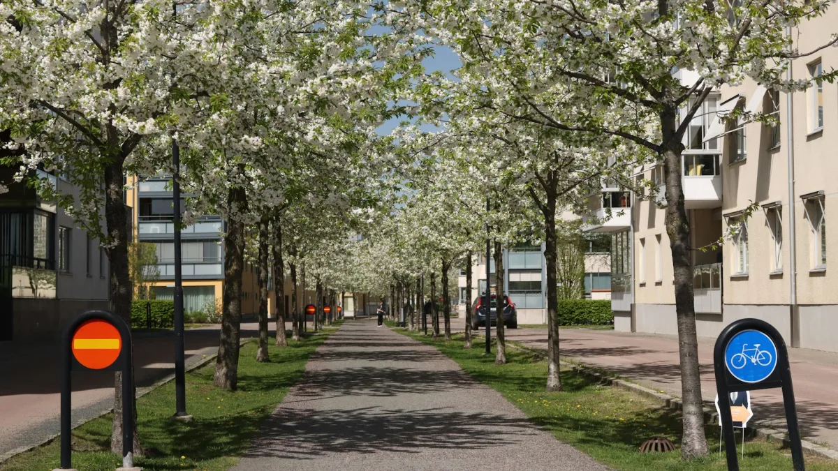 Swedish Consumer Confidence Climbs May 2023 with Key Metrics