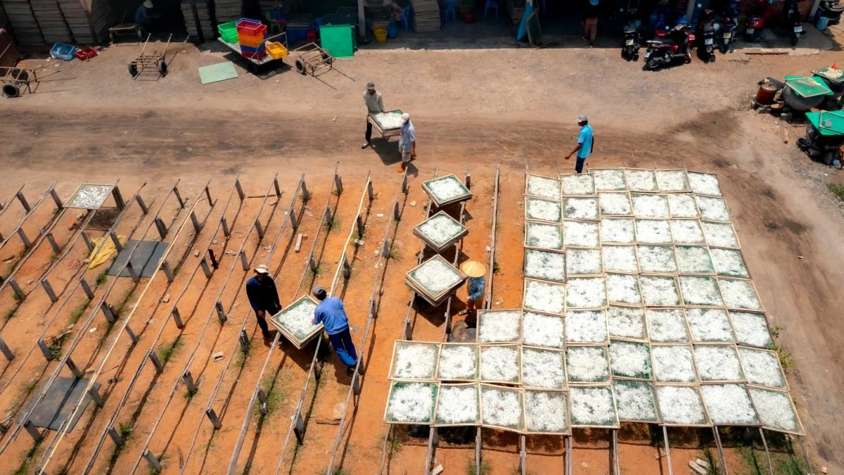 US Investigates Vietnam's Intellectual Property Practices Impacting Trade