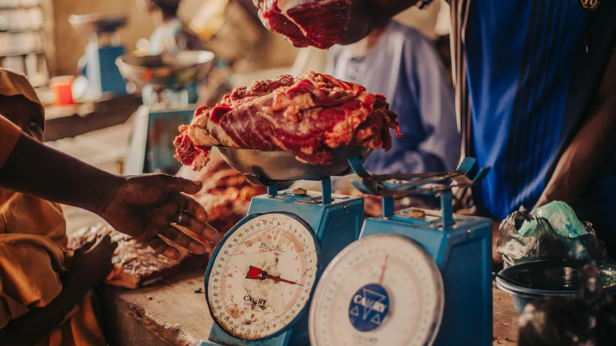 Beyond Meat Inc. (BYND): Focus on Lab-Grown Meat Investment Options