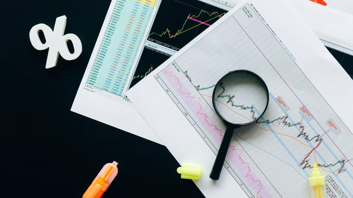 Euroseas Ltd. (ESEA) Highlights 10 Low P/E Growth Stocks