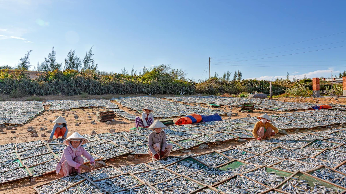 U.S. Proposes 12.5% Tariffs on 60 Economies for Forced Labor