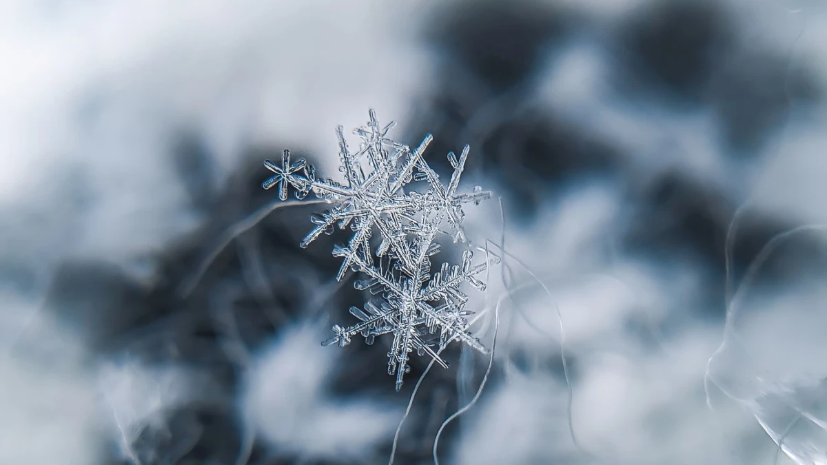 Snowflake (SNOW) Director Sells $43 Million in Stock