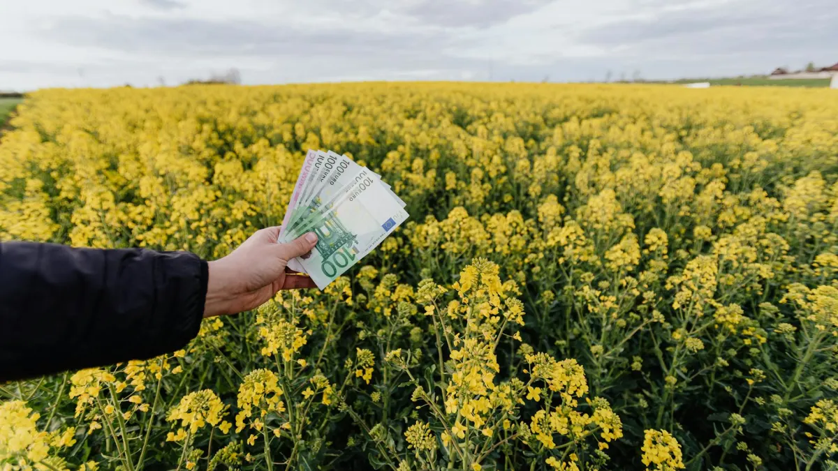 SCHD Yield Drops to 3.5% as IDV and LVHI Reach 4.4% in 2026
