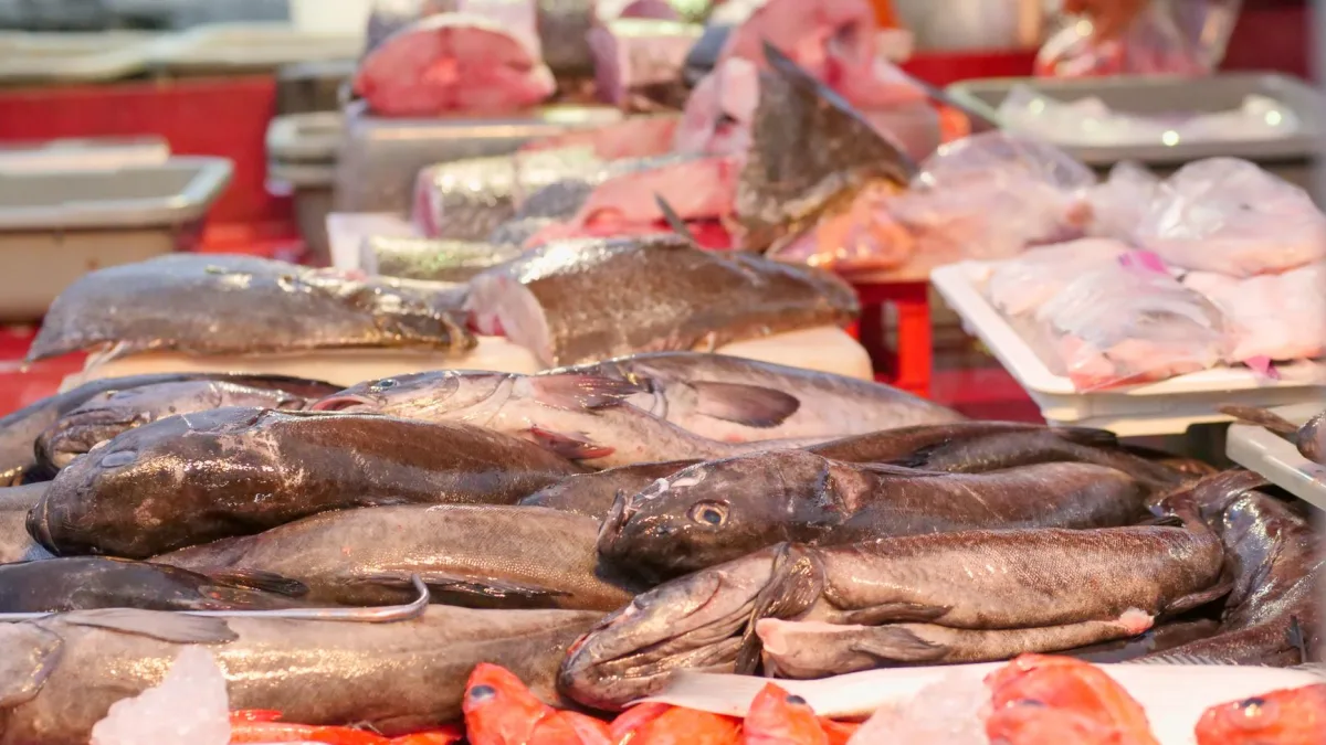 Cod Price Rise Forces Chippies to Offer Alternative Fish Species