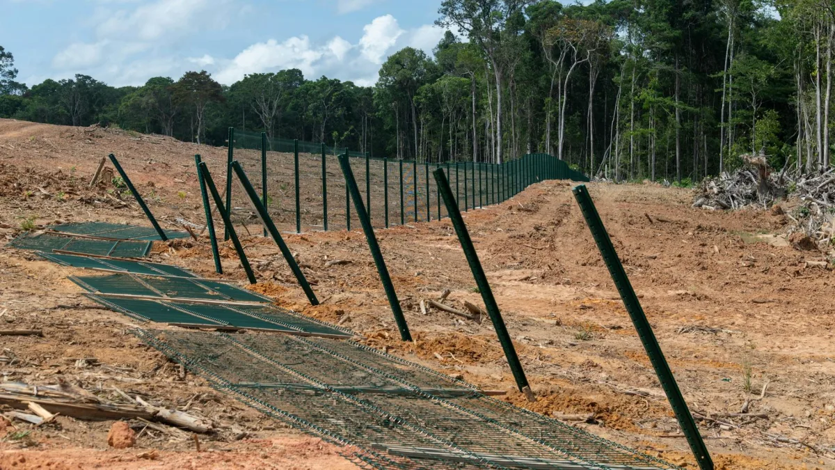 Savannah Resources (SAV) Faces Court Challenge on Portugal Land Access