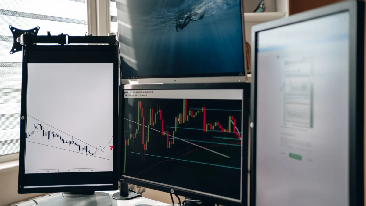 The Trade Desk (TTD) Stock Hits 52-Week Low at 18.31 USD